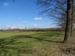 Mokkelengoor